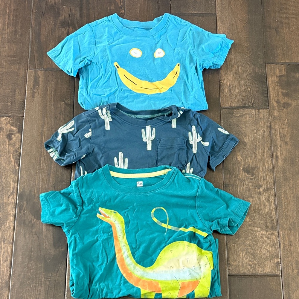 Tea Collection Boys Blue and Green Dinosaur and Cactus T-Shirts